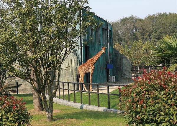 淮安市生态动物园总体设计