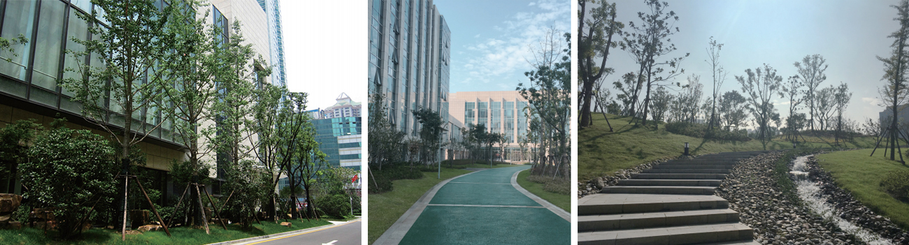 南京市金陵饭店扩建工程景观设计